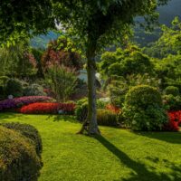 Long Established Commercial Landscaping Contractor Business
